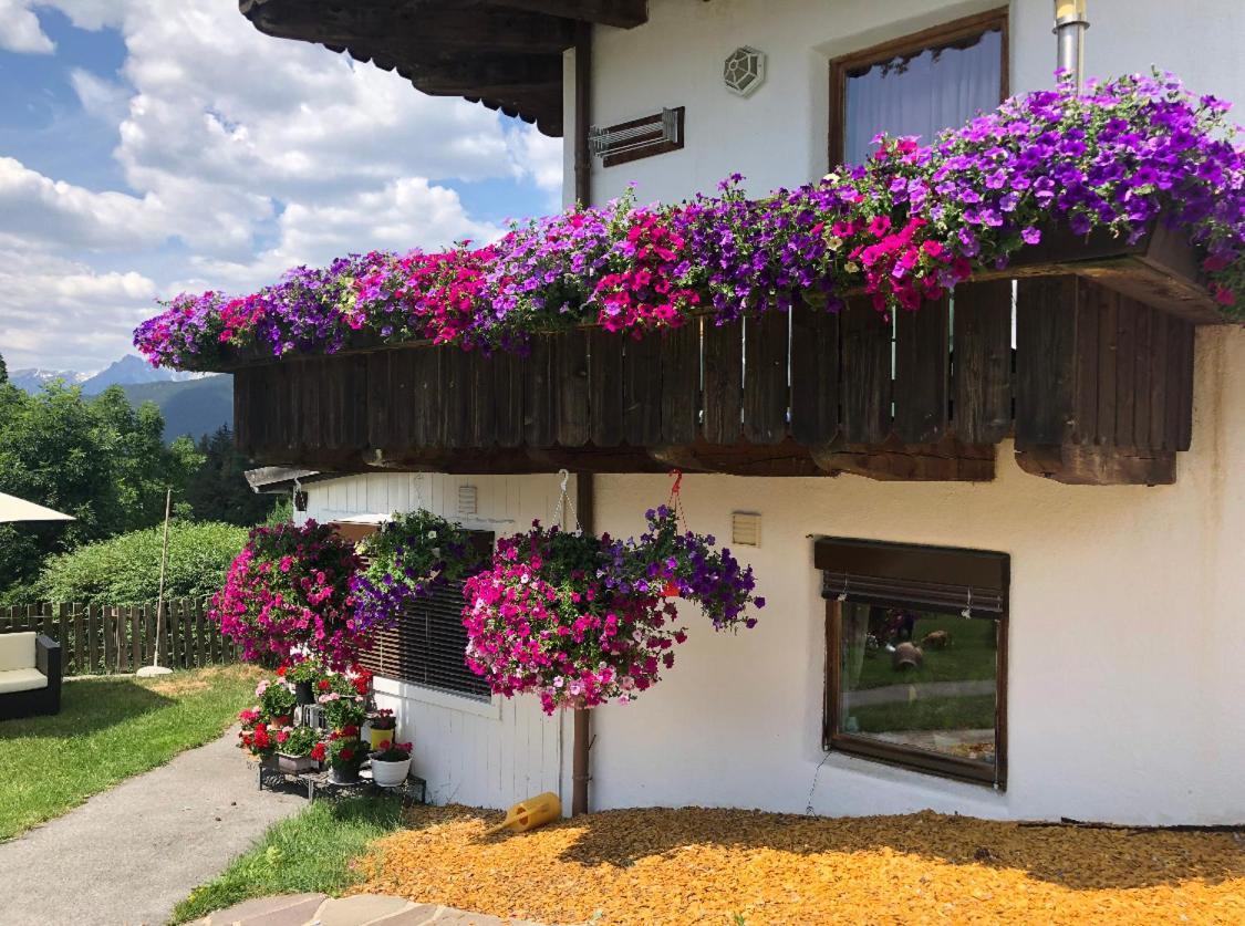 Landhaus Alpenblick 奥布施泰希 外观 照片