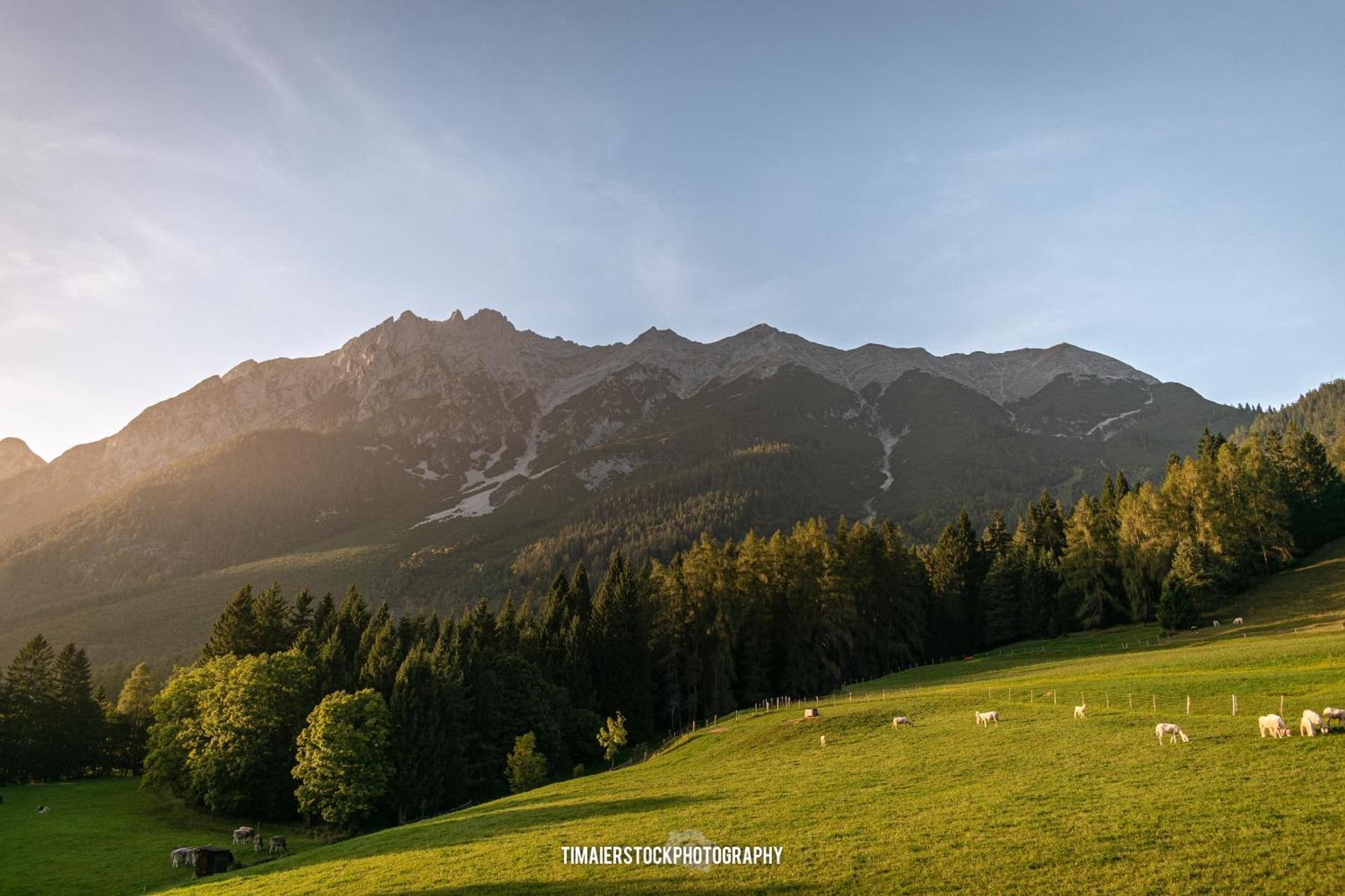 Landhaus Alpenblick 奥布施泰希 外观 照片