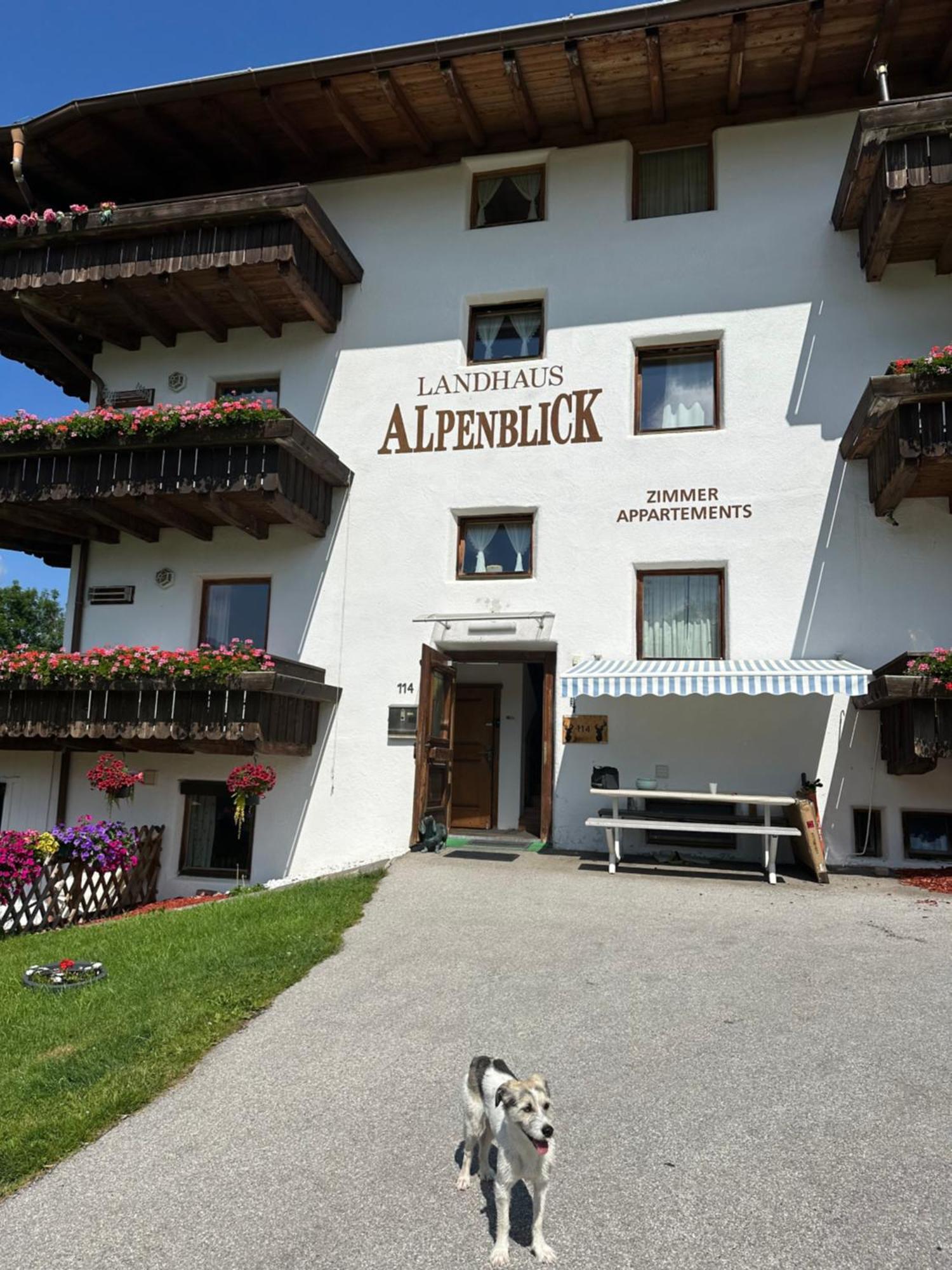 Landhaus Alpenblick 奥布施泰希 外观 照片
