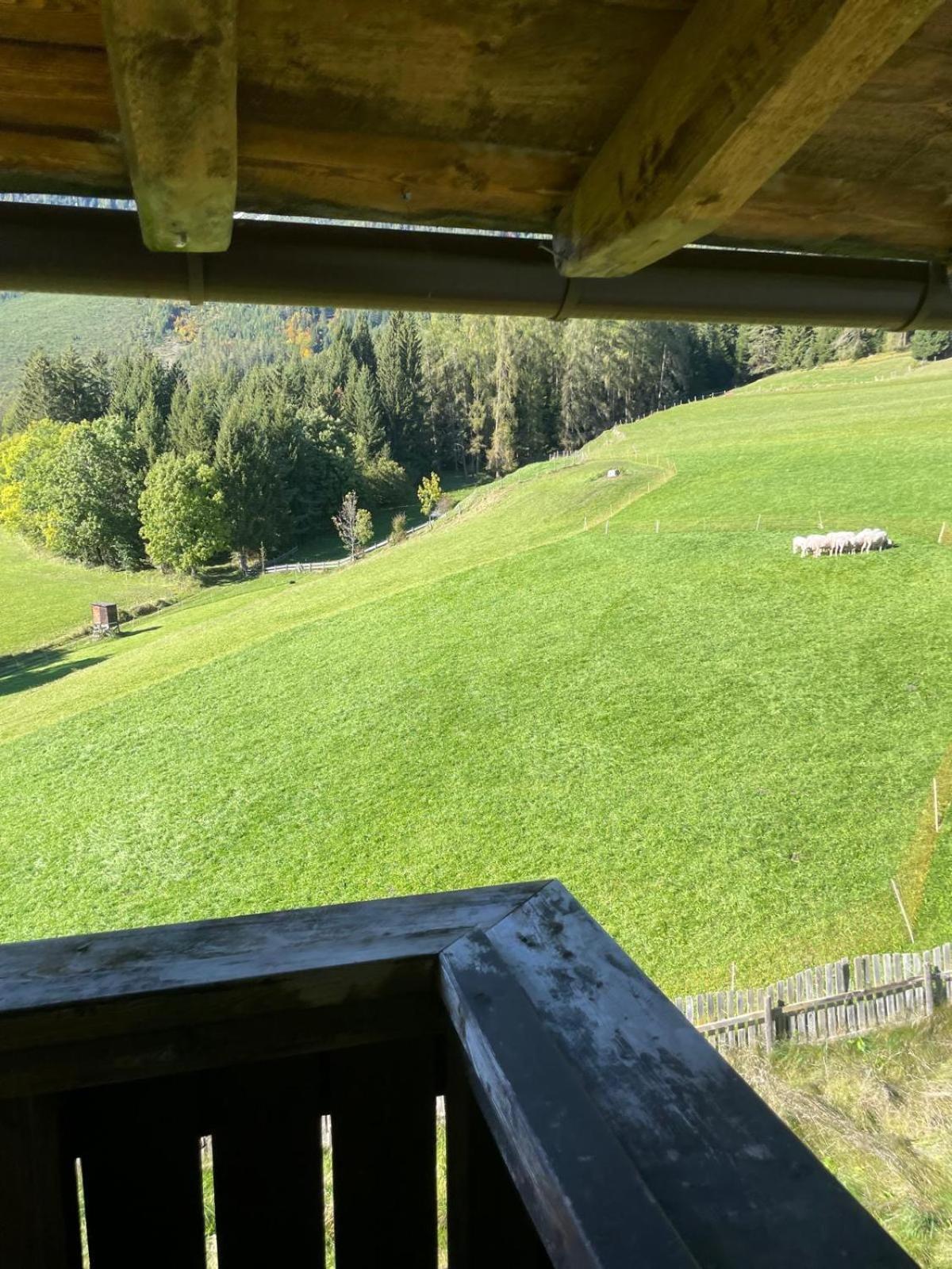 Landhaus Alpenblick 奥布施泰希 外观 照片